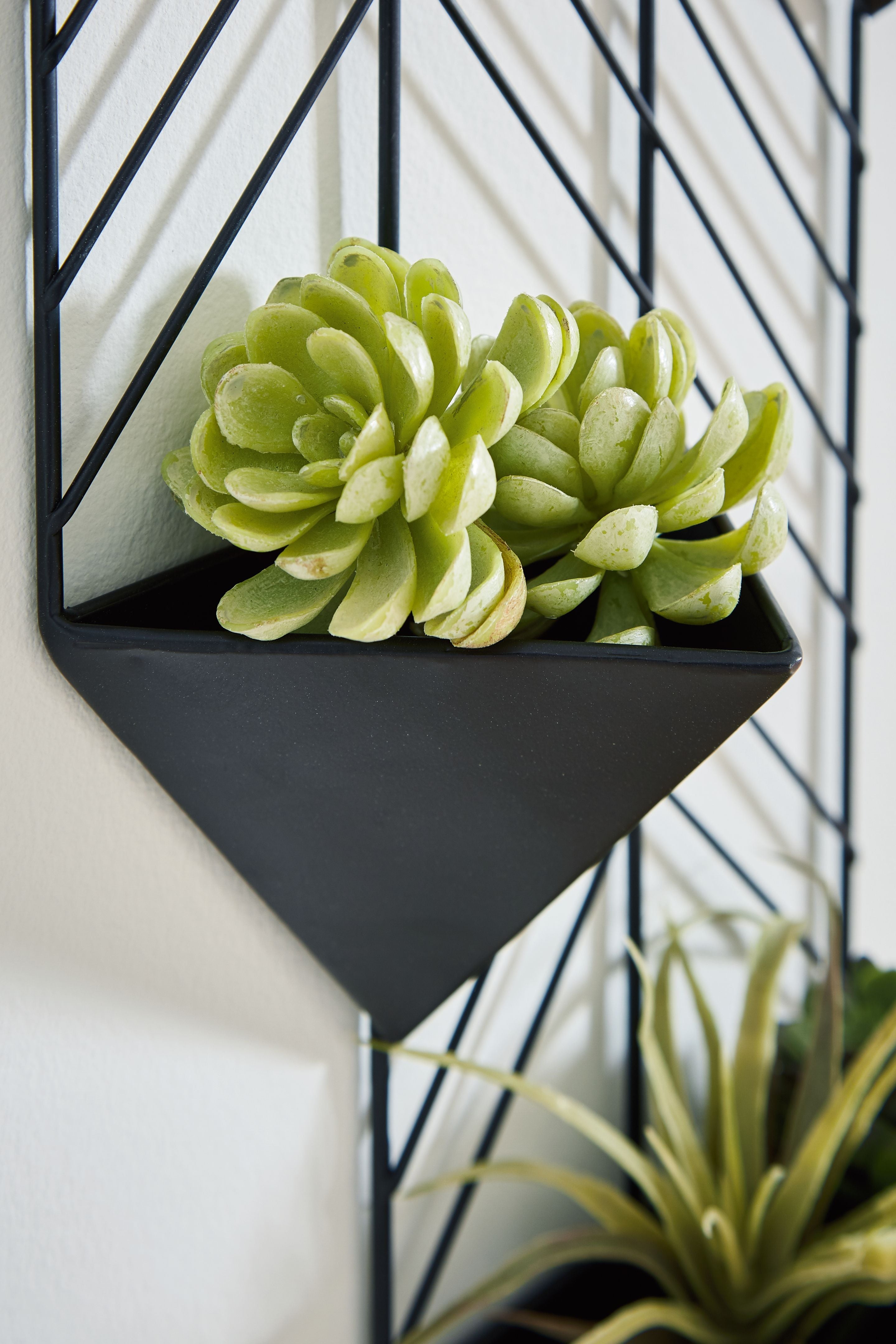 Dashney - Black - Wall Planter